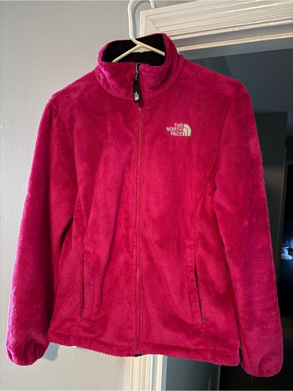 The North Face Hot Pink Plush Full-Zip Teddy Jacket